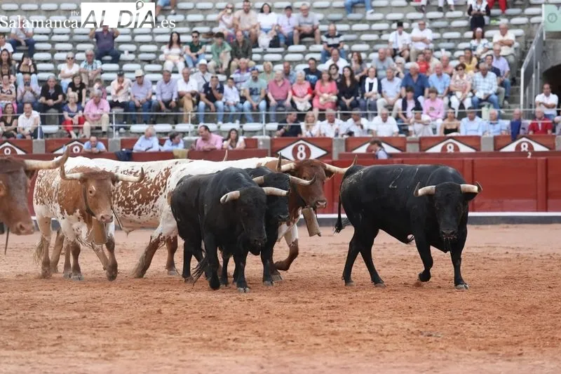 Fotos: Miguel Hernández
