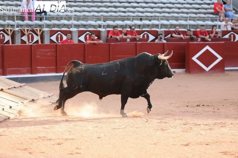 Fotos: Miguel Hernández