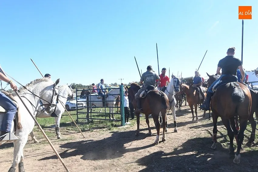 Encierro a caballo Alba de Yeltes