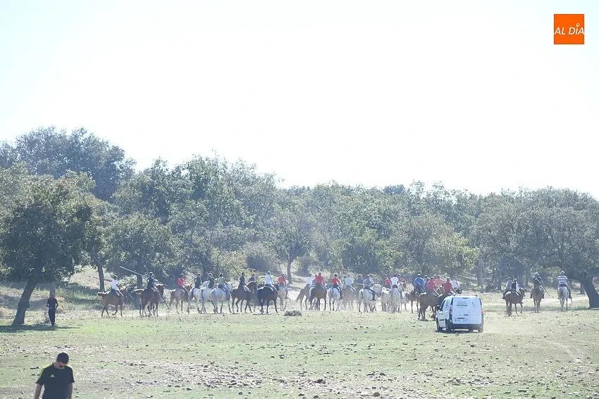 Encierro a caballo Alba de Yeltes