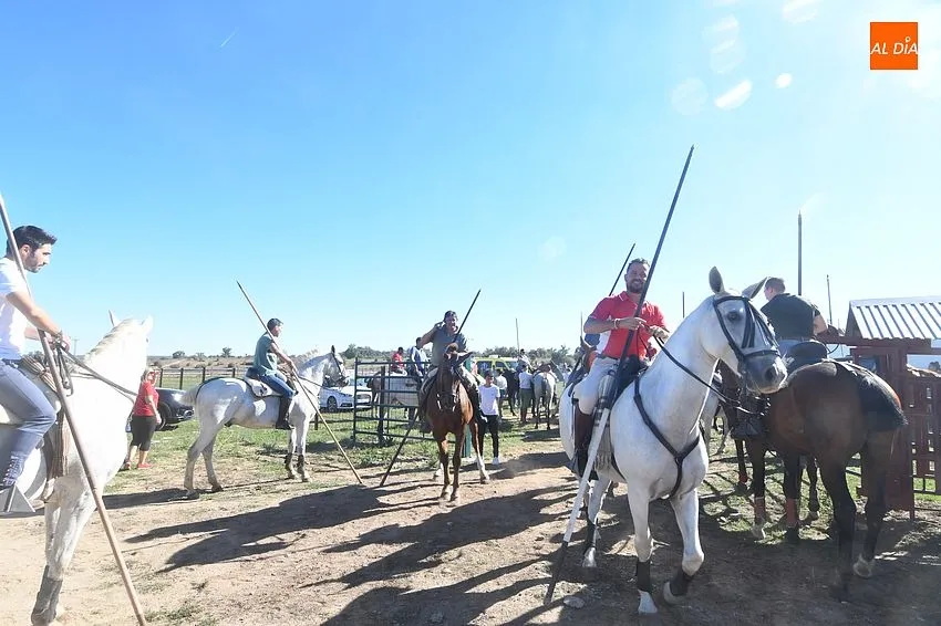 Encierro a caballo Alba de Yeltes