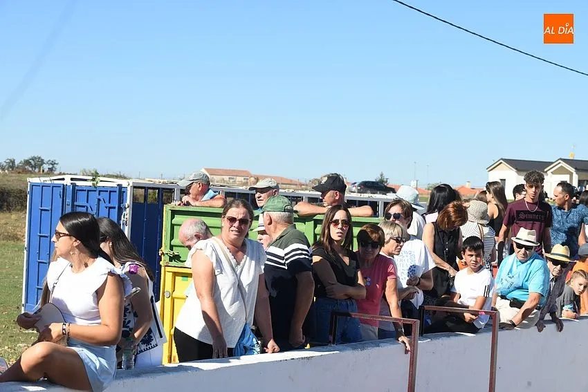 Encierro a caballo Alba de Yeltes