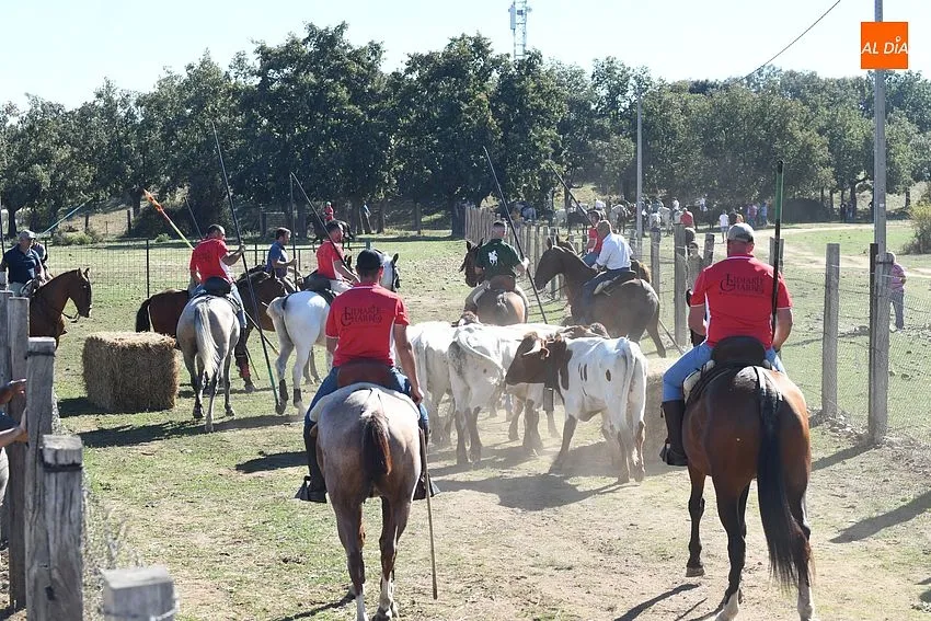 Encierro a caballo Alba de Yeltes