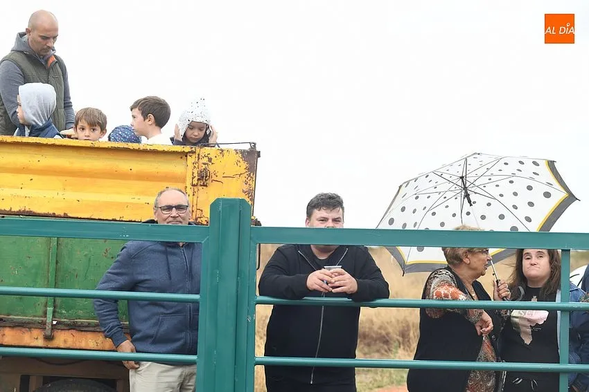 encierro a caballo aldehuela de yeltes