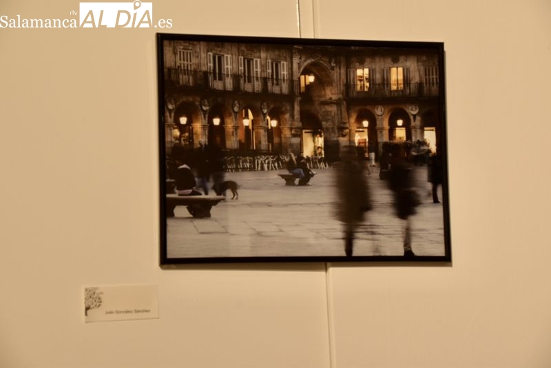 Exposición fotográfica en el Centro Municipal Trujillo. Foto de Vanesa Martins