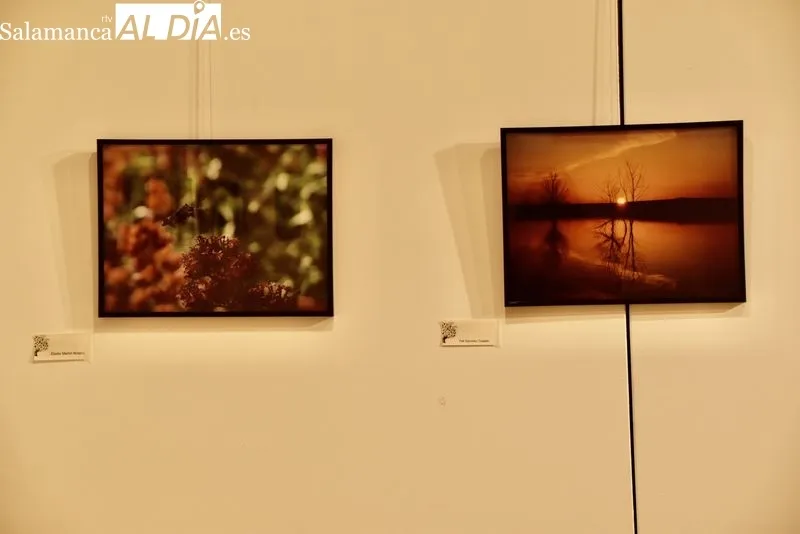 Exposición fotográfica en el Centro Municipal Trujillo. Foto de Vanesa Martins