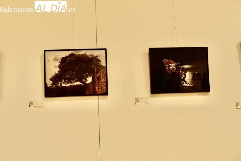 Exposición fotográfica en el Centro Municipal Trujillo. Foto de Vanesa Martins