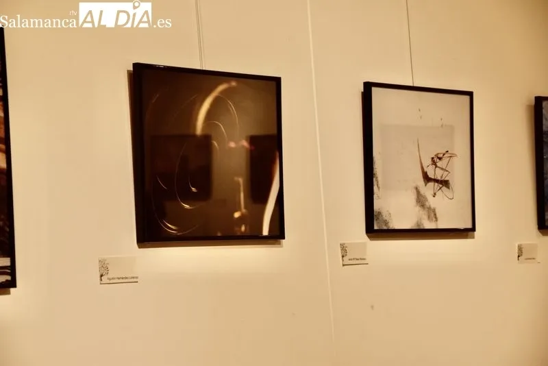 Exposición fotográfica en el Centro Municipal Trujillo. Foto de Vanesa Martins