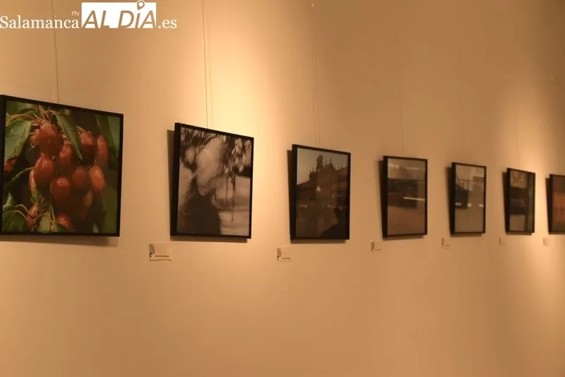 Exposición fotográfica en el Centro Municipal Trujillo. Foto de Vanesa Martins