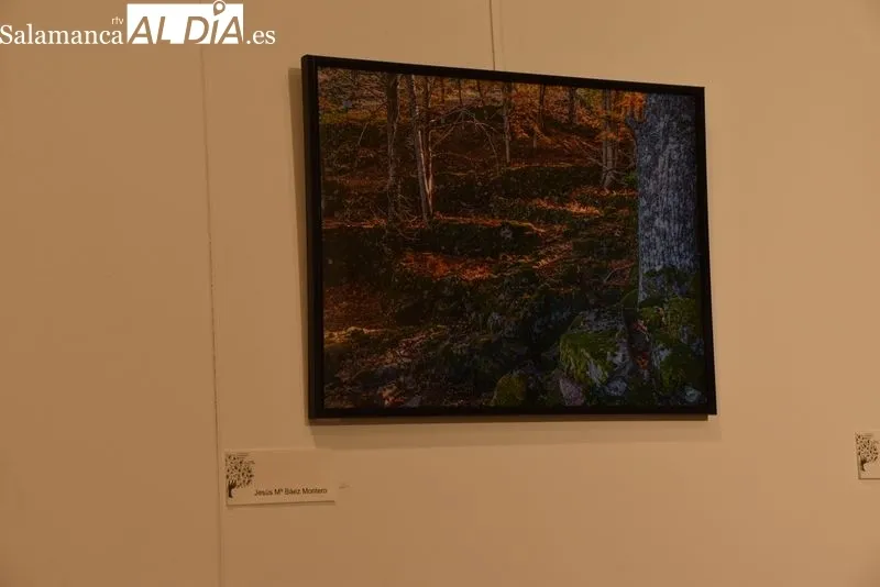 Exposición fotográfica en el Centro Municipal Trujillo. Foto de Vanesa Martins