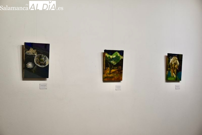 Exposición del artista Marcos Tapia en el Espacio Joven. Foto de Vanesa Martins