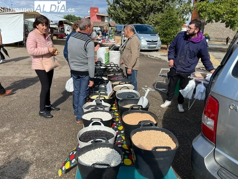 El frío y las previsiones de lluvia restaron público, aunque la afluencia fue más que aceptable / SILVESTRE