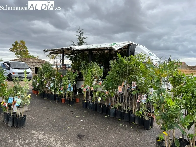 El frío y las previsiones de lluvia restaron público, aunque la afluencia fue más que aceptable / SILVESTRE