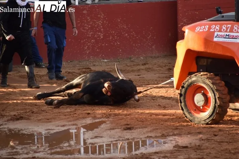 Foto 3 - Una nueva clase pr&aacute;ctica de la Escuela de Tauromaquia en el Anillo de Exhibiciones