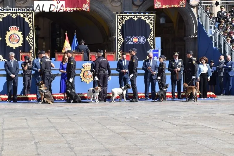 Foto 11 - Las mejores im&aacute;genes del D&iacute;a de la Polic&iacute;a en Salamanca
