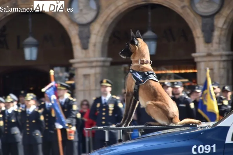 Foto 8 - Las mejores im&aacute;genes del D&iacute;a de la Polic&iacute;a en Salamanca