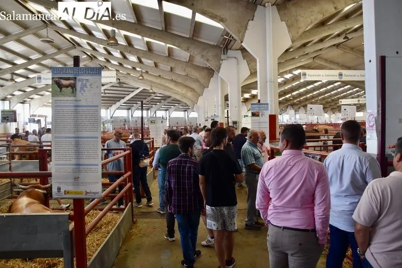 Visitantes en Salamaq durante la mañana de este lunes