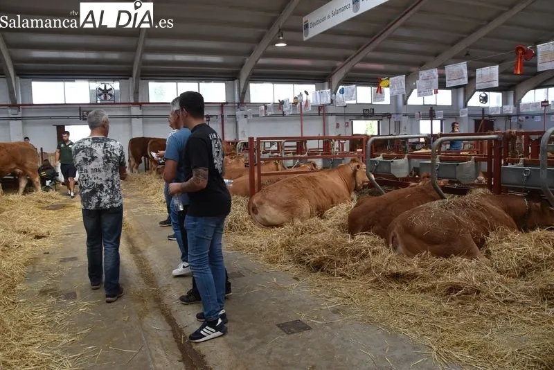 Visitantes en Salamaq durante la mañana de este lunes