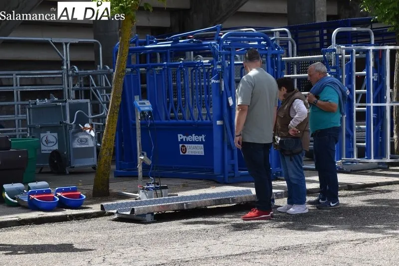 Visitantes en Salamaq durante la mañana de este lunes