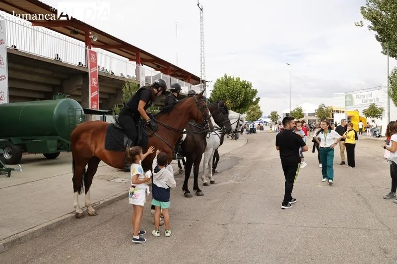 Patrulas de la Policía a Caballo en Salamaq | FOTOS: David Sañudo 