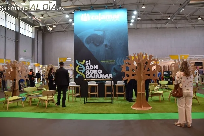 El stand de Cajamar en Salamq23