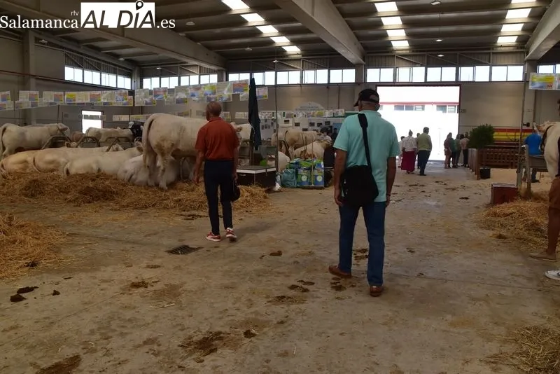 Foto 5 - Los primeros visitantes ya se dejan ver por el Recinto Ferial