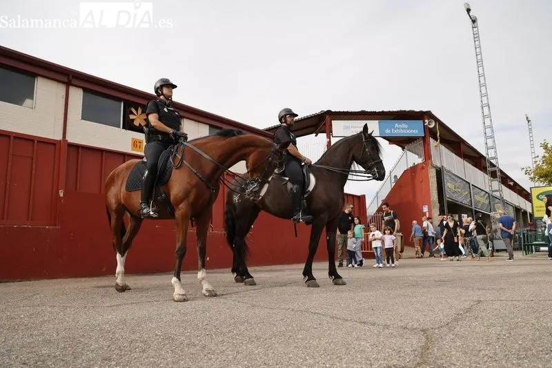 Patrulas de la Policía a Caballo en Salamaq | FOTOS: David Sañudo 