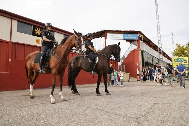Patrulas de la Policía a Caballo en Salamaq | FOTOS: David Sañudo 