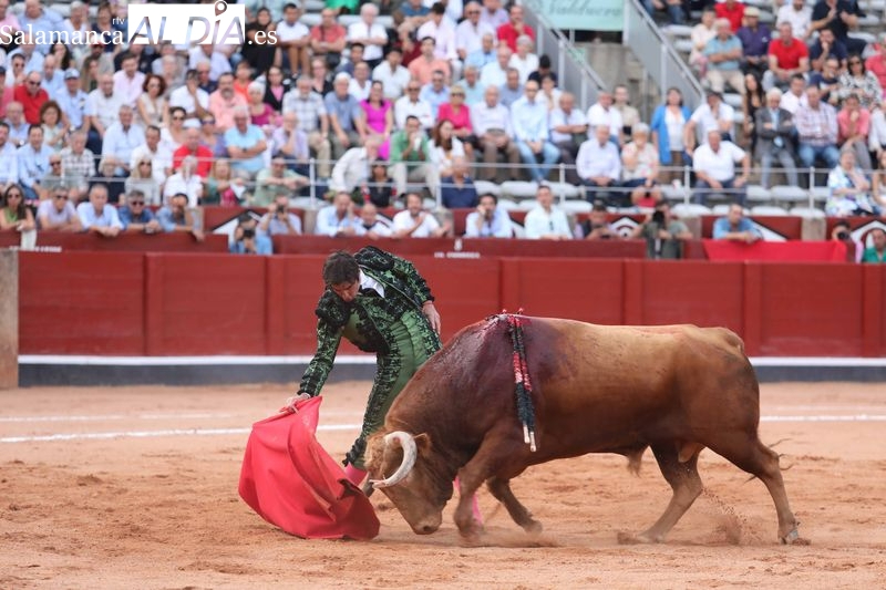 Madrileño, de la ganadería de Vellosino, Toro de Oro de la feria de Salamanca 2023 