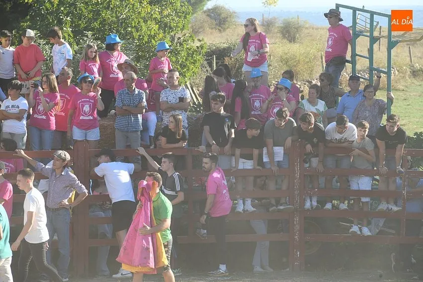 Vaquillas en Pedrotoro/ Fotos Adrián M.Pastor