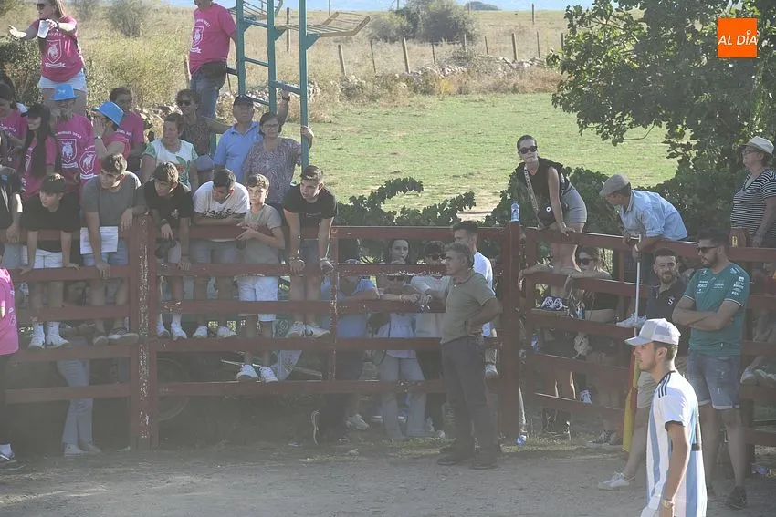Vaquillas en Pedrotoro/ Fotos Adrián M.Pastor
