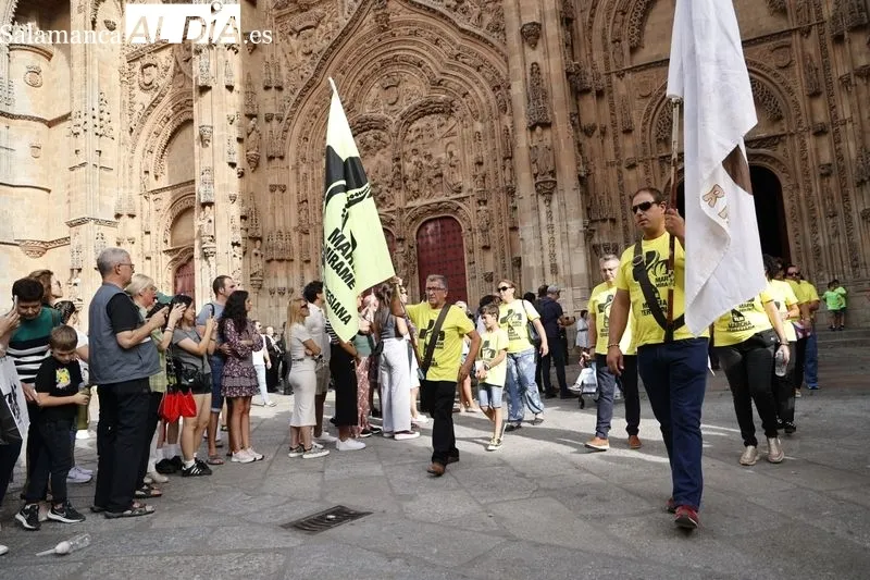 Foto 11 - Santa Teresa de Jes&uacute;s procesiona por las calles salmantinas