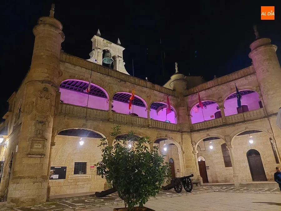 Foto 2 - La Casa Consistorial y el Parque de los Tilos lucen de rosa contra el c&aacute;ncer de mama