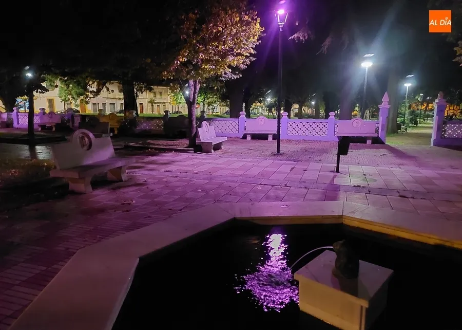 Foto 4 - La Casa Consistorial y el Parque de los Tilos lucen de rosa contra el c&aacute;ncer de mama
