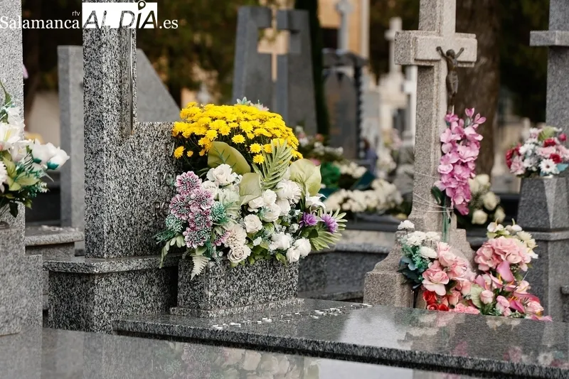 Aspecto del cementerio de Salamanca los días previos a Todos los Santos.
