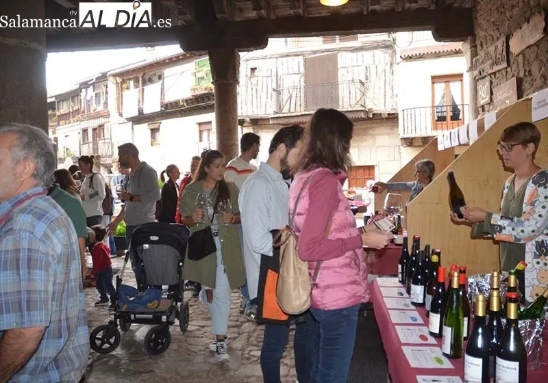 Foto 4 - &Eacute;xito de la Fiesta de la Vendimia Tradicional en San Mart&iacute;n del Casta&ntilde;ar