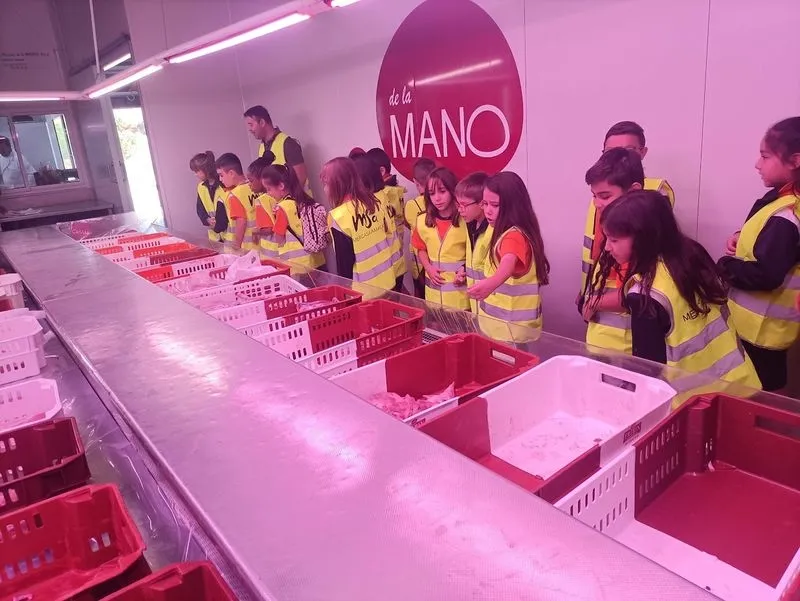 Foto 6 - Los alumnos del Colegio Antonio Machado aprenden, disfrutan y se divierten en la visita a MercaSalamanca