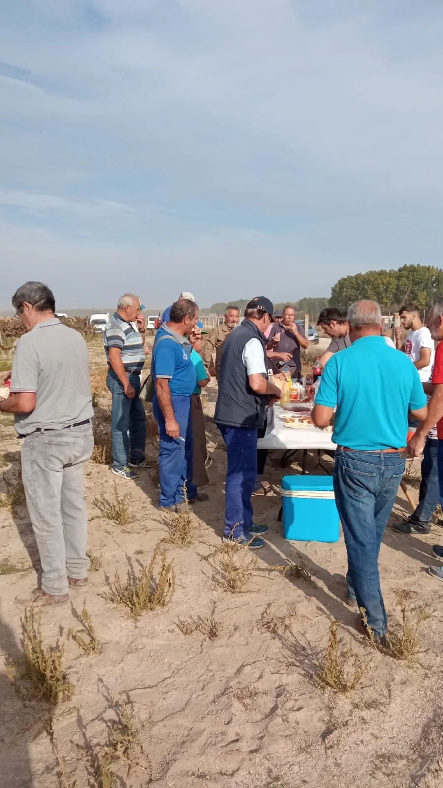 Amigos y vecinos de Santiago de la Puebla se reunía para realizar la vendimia 