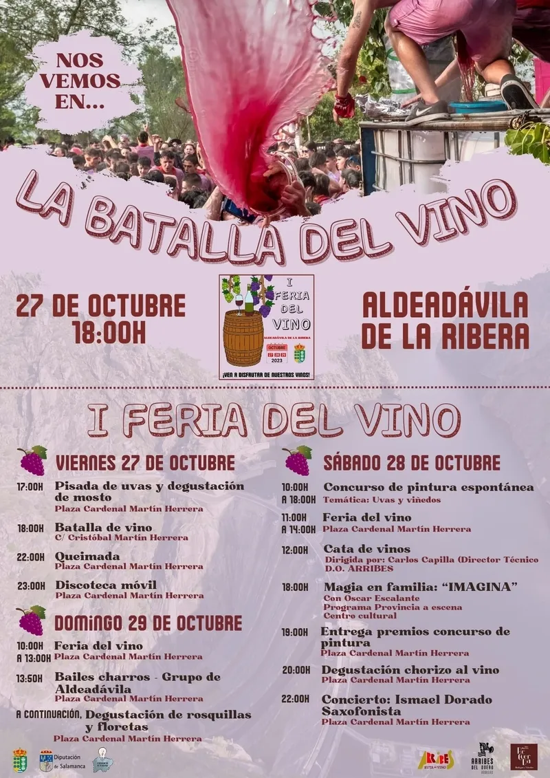 Foto 2 - Aldead&aacute;vila tiene todo preparado para su I Feria del Vino