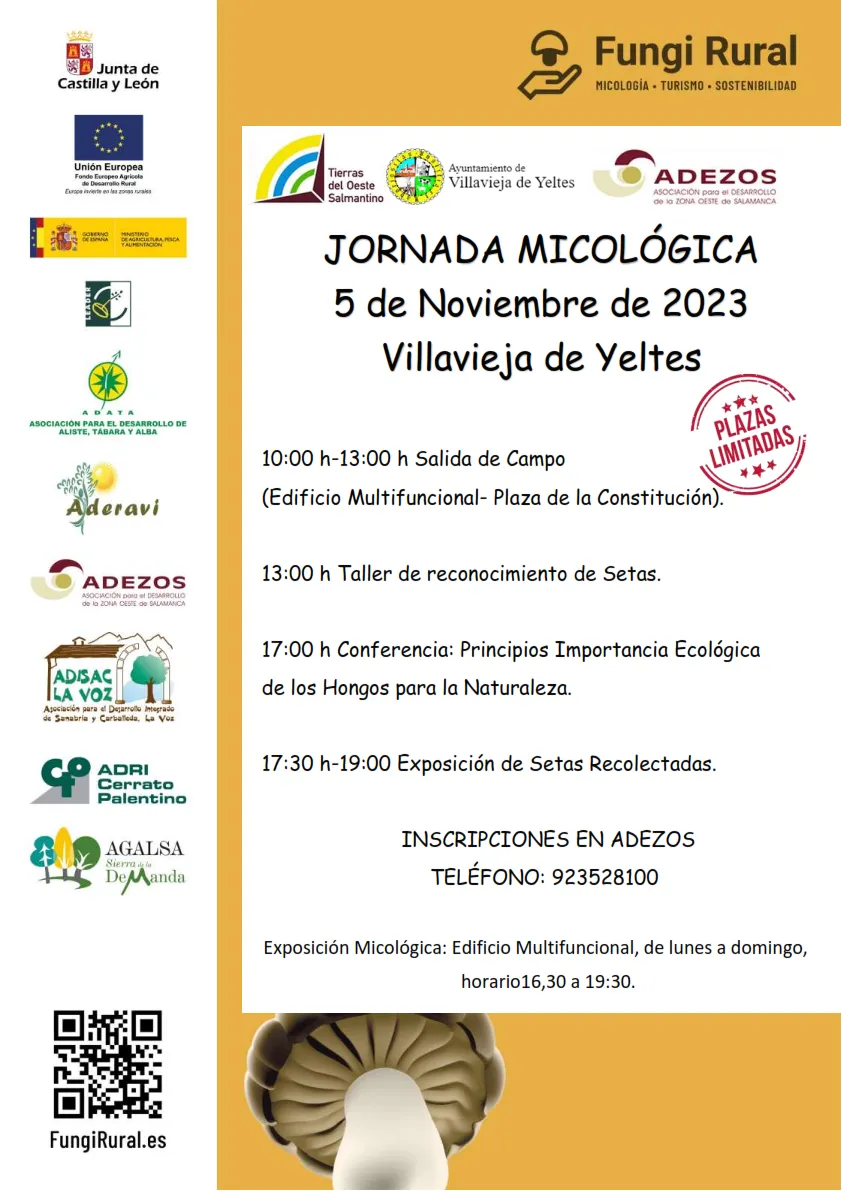 Foto 2 - Adezos promueve en Villavieja de Yeltes una jornada de lo m&aacute;s micol&oacute;gica