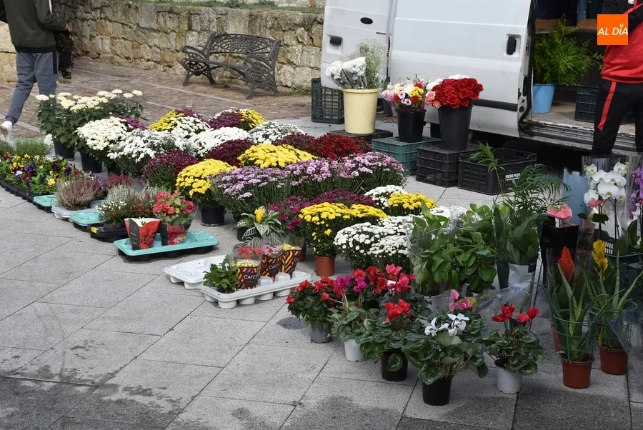 Foto 2 - Las flores se suman al mercadillo sabatino