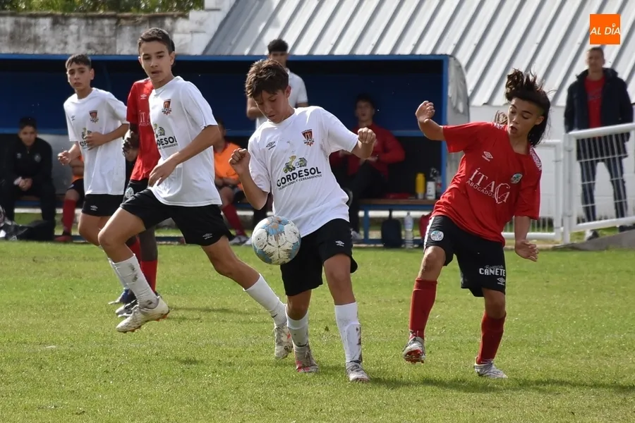Foto 9 - El Infantil del Ciudad Rodrigo gana en su hist&oacute;rica cita en el Francisco Mateos al Salamanca CF UDS