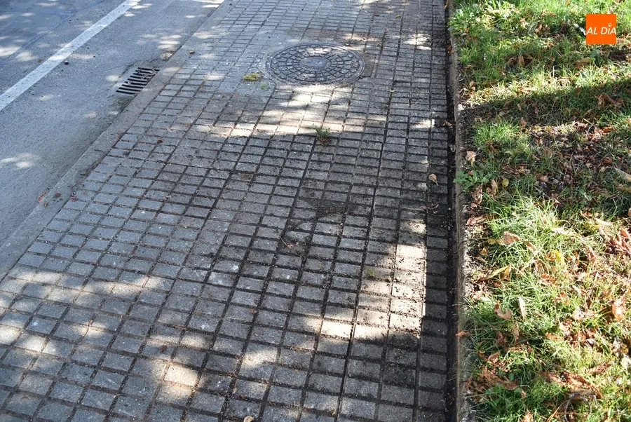 Foto 3 - Desesperaci&oacute;n entre vecinos de la Avenida de B&eacute;jar por una 'plaga' de estorninos