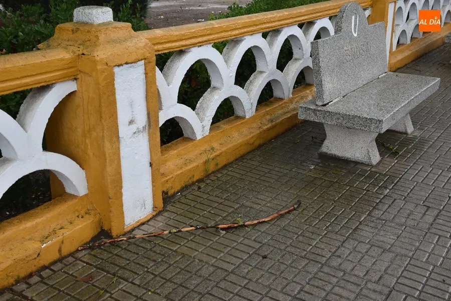 Foto 6 - Cerrados por precauci&oacute;n los parques de Ciudad Rodrigo