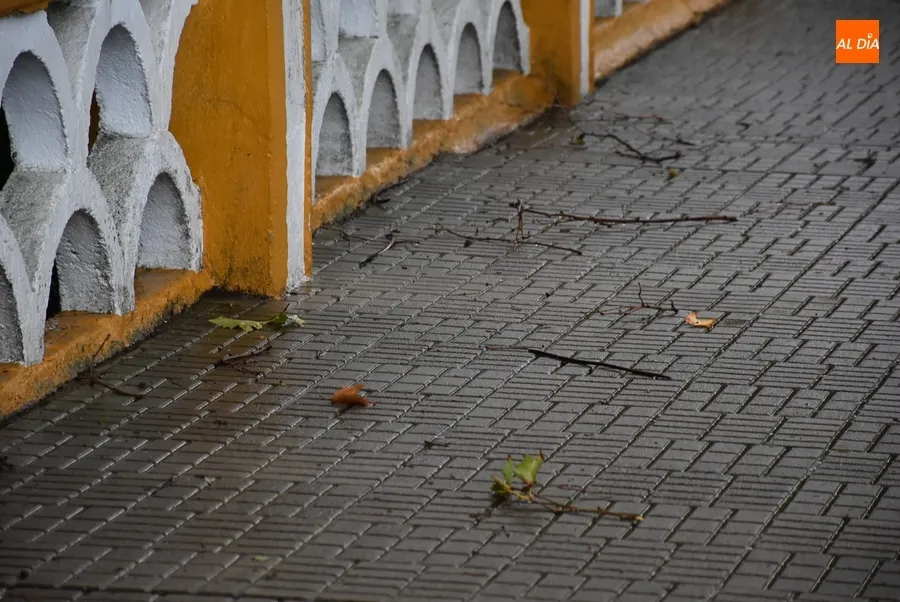 Foto 7 - Cerrados por precauci&oacute;n los parques de Ciudad Rodrigo