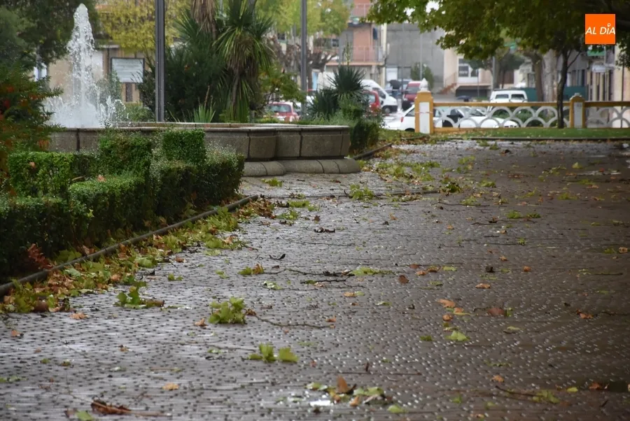 Foto 9 - Cerrados por precauci&oacute;n los parques de Ciudad Rodrigo