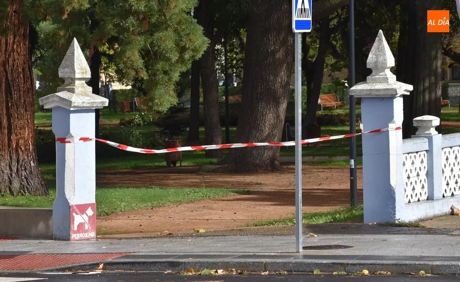 Foto 10 - Cerrados por precauci&oacute;n los parques de Ciudad Rodrigo