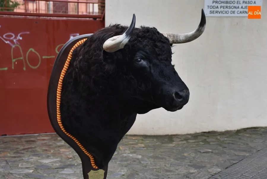 Foto 5 - El Carnaval 2023 llega de forma definitiva a su fin con la entrega de la cabeza del Toro del Antruejo