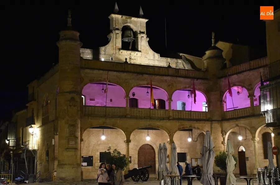 Foto 6 - La Casa Consistorial y el Parque de los Tilos lucen de rosa contra el c&aacute;ncer de mama