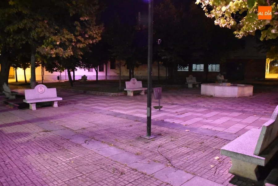 Foto 9 - La Casa Consistorial y el Parque de los Tilos lucen de rosa contra el c&aacute;ncer de mama